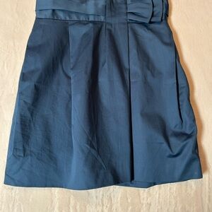 BCBGMaxAzria Blue Skirt